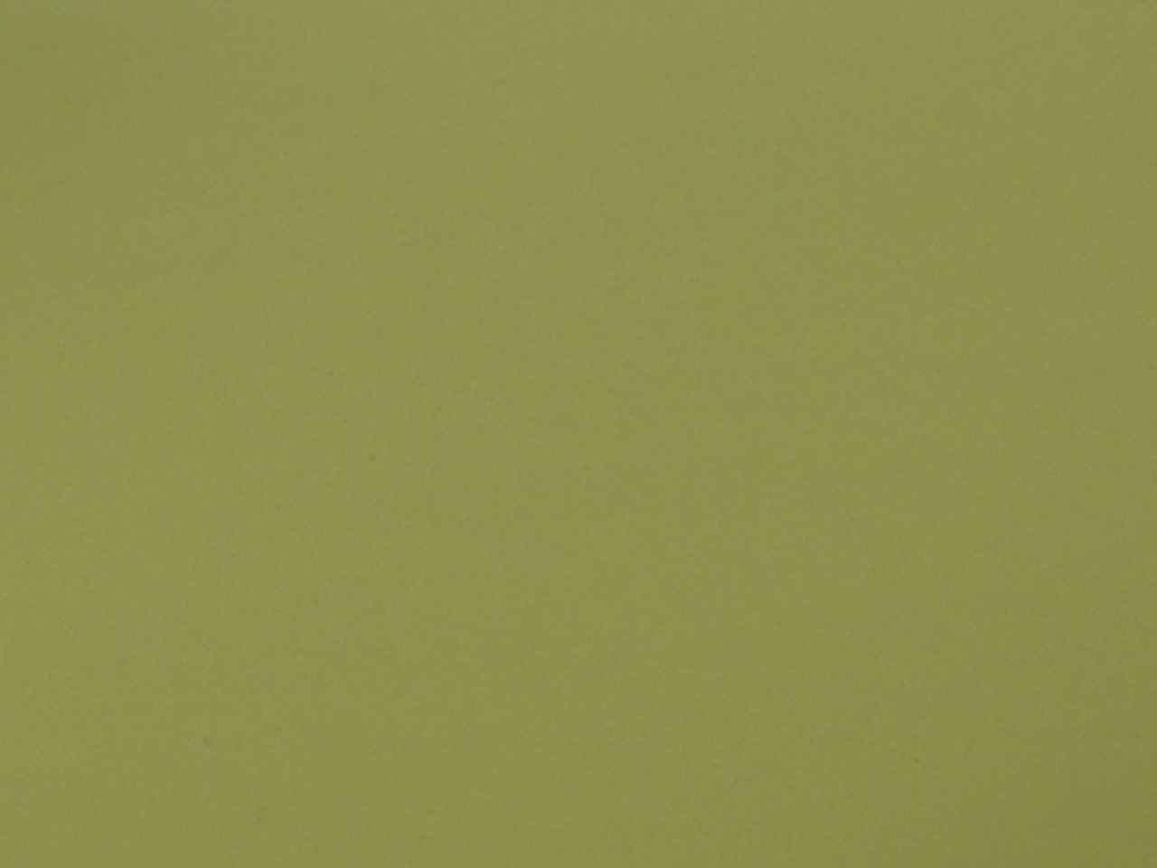 Busta satinato 35x50cm 25 pezzi muschio