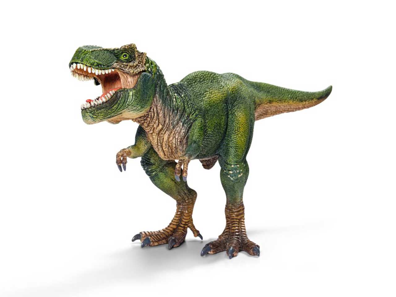 Tyrannosaurus rex