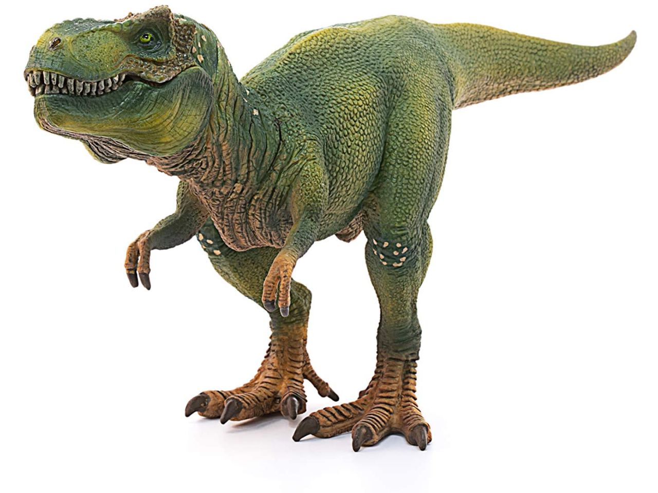 Tyrannosaurus rex
