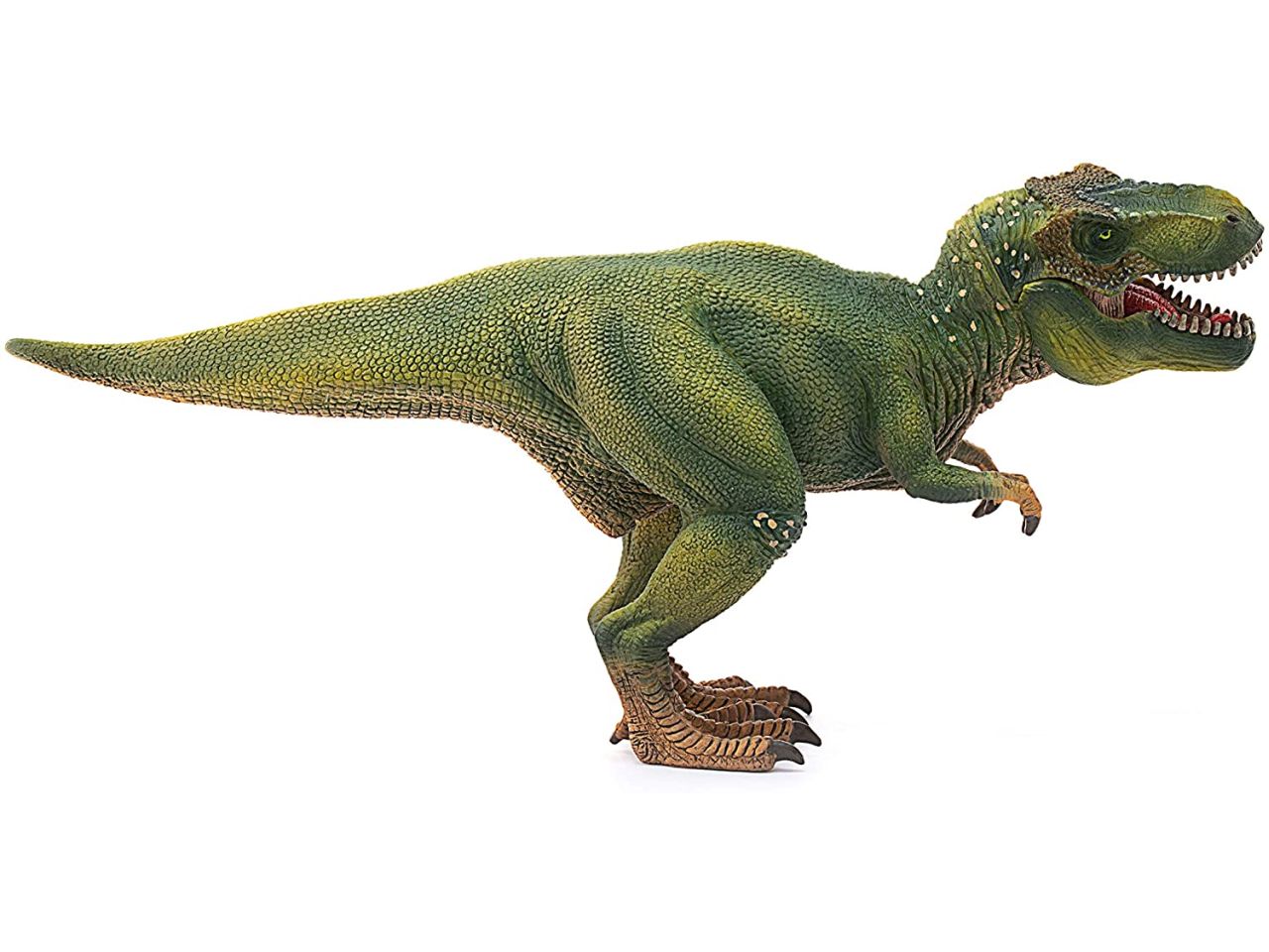 Tyrannosaurus rex