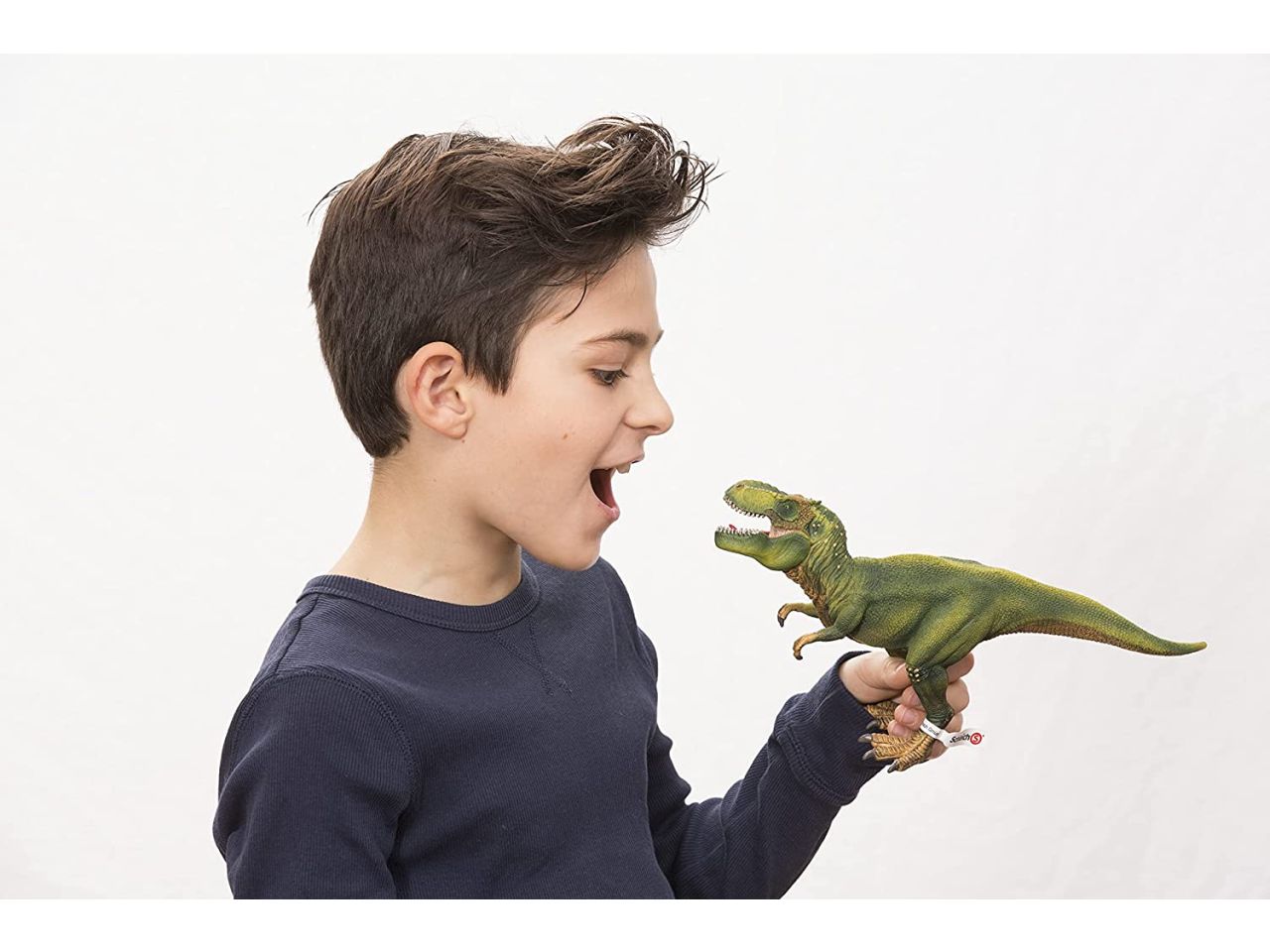 Tyrannosaurus rex