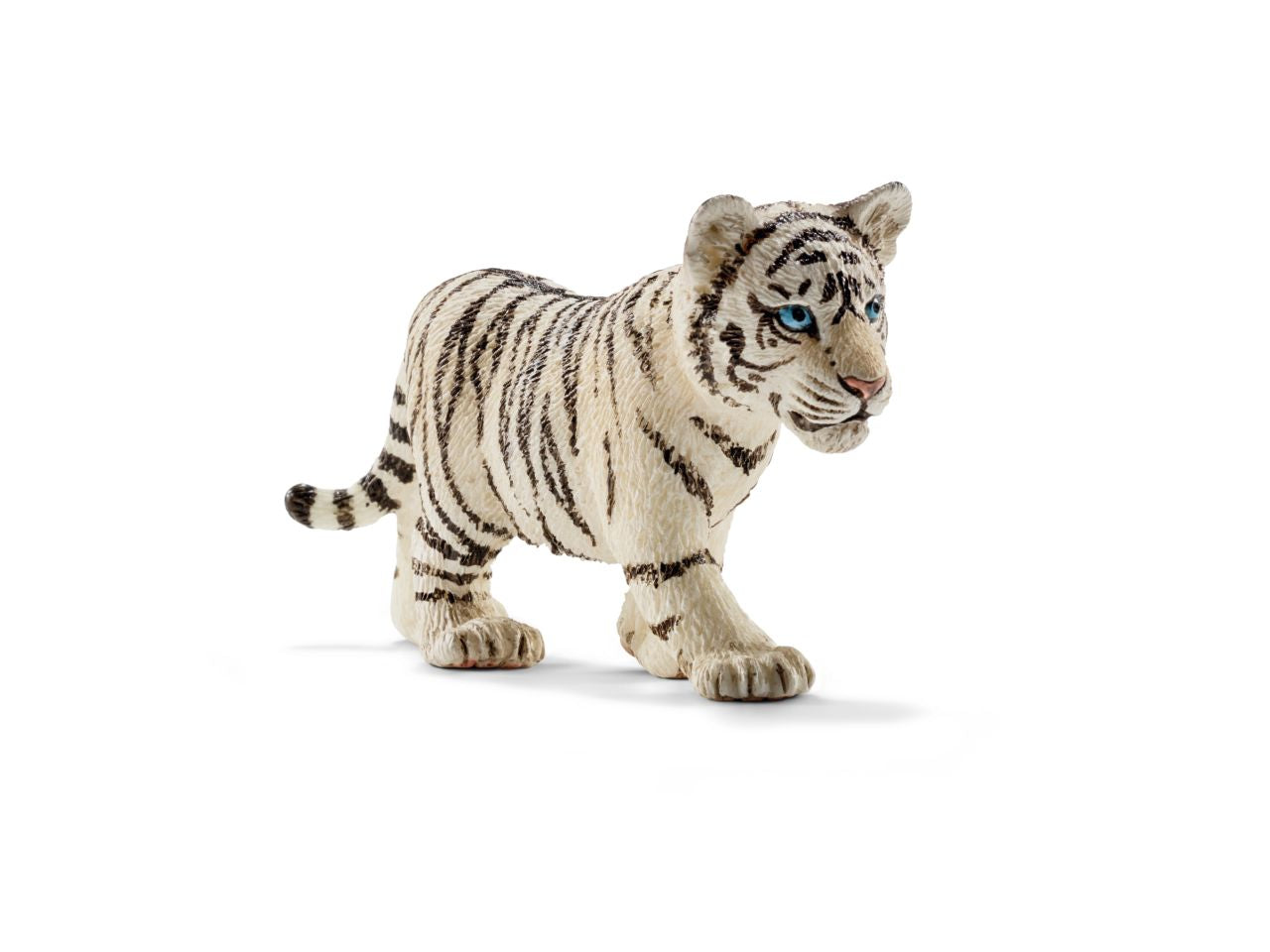 Cucciolo di tigre bianco