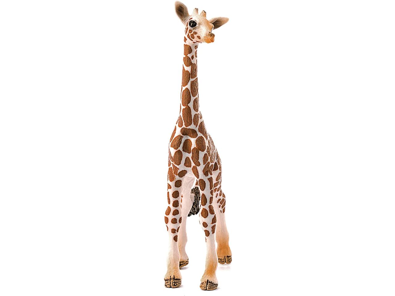 Cucciolo di giraffa