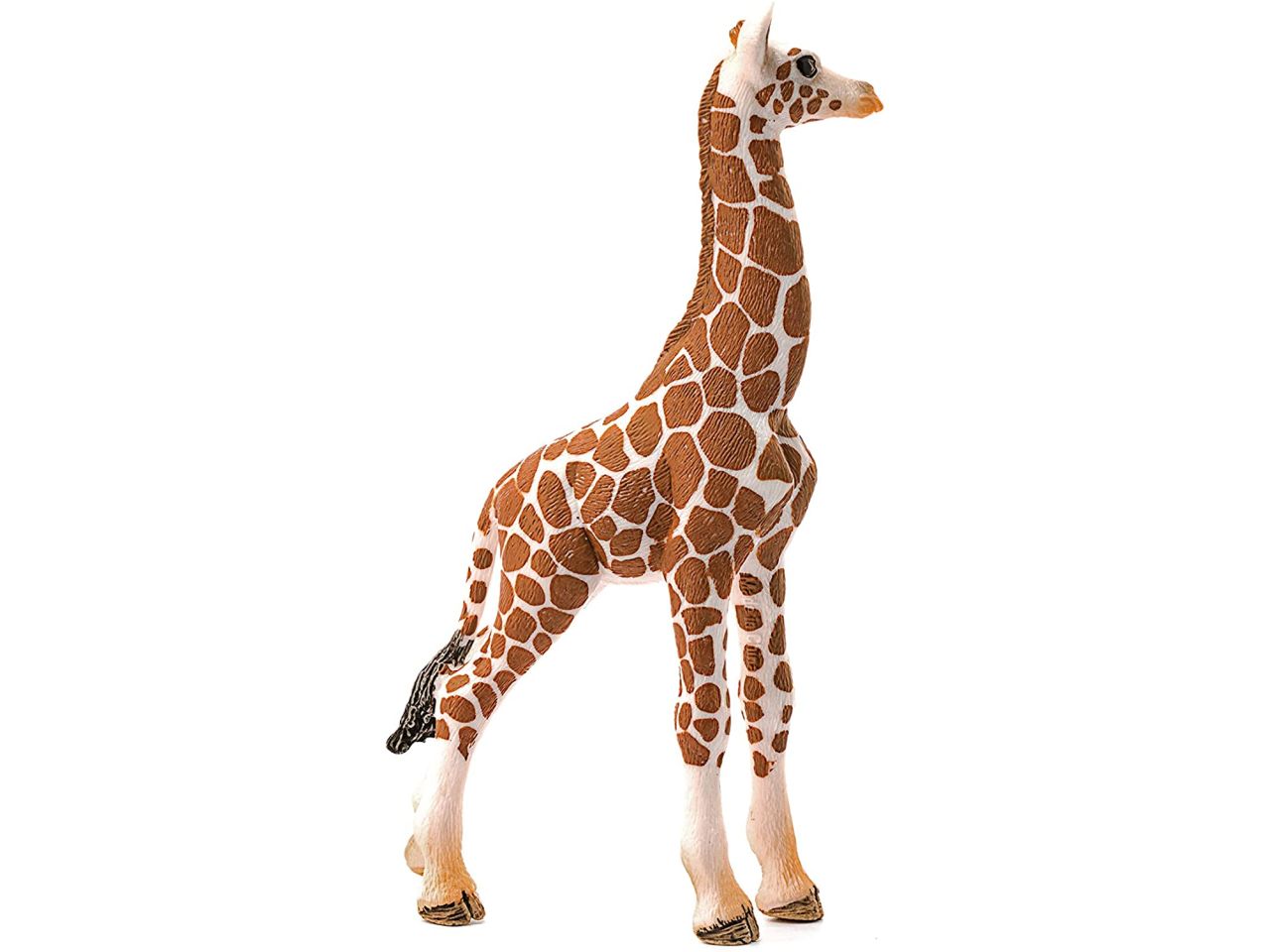 Cucciolo di giraffa
