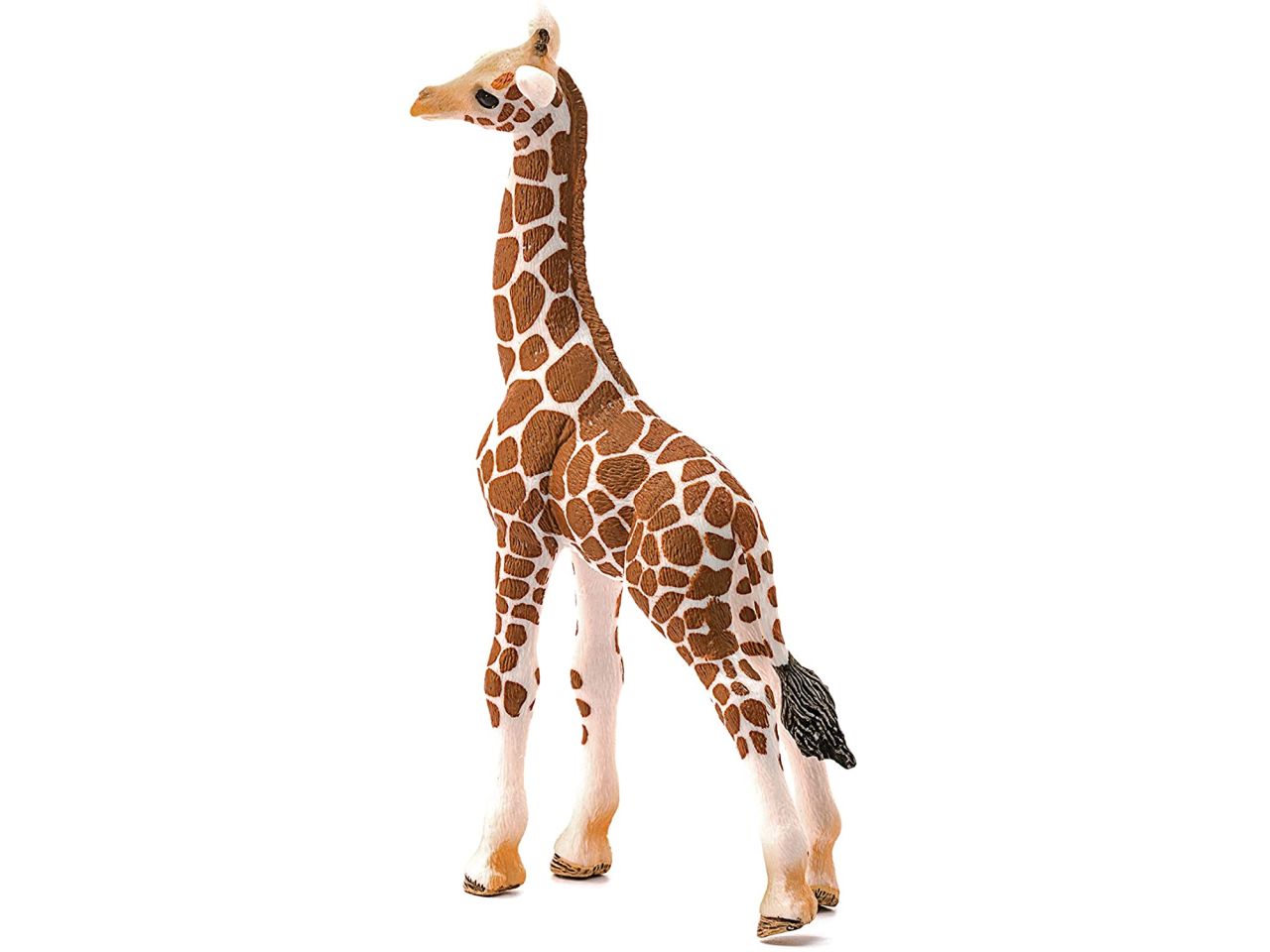 Cucciolo di giraffa