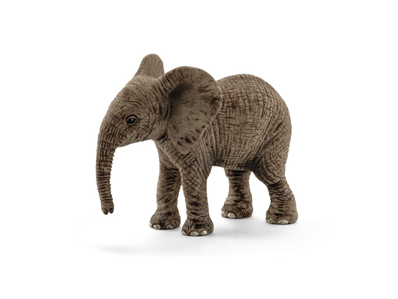Cucciolo di elefante africano