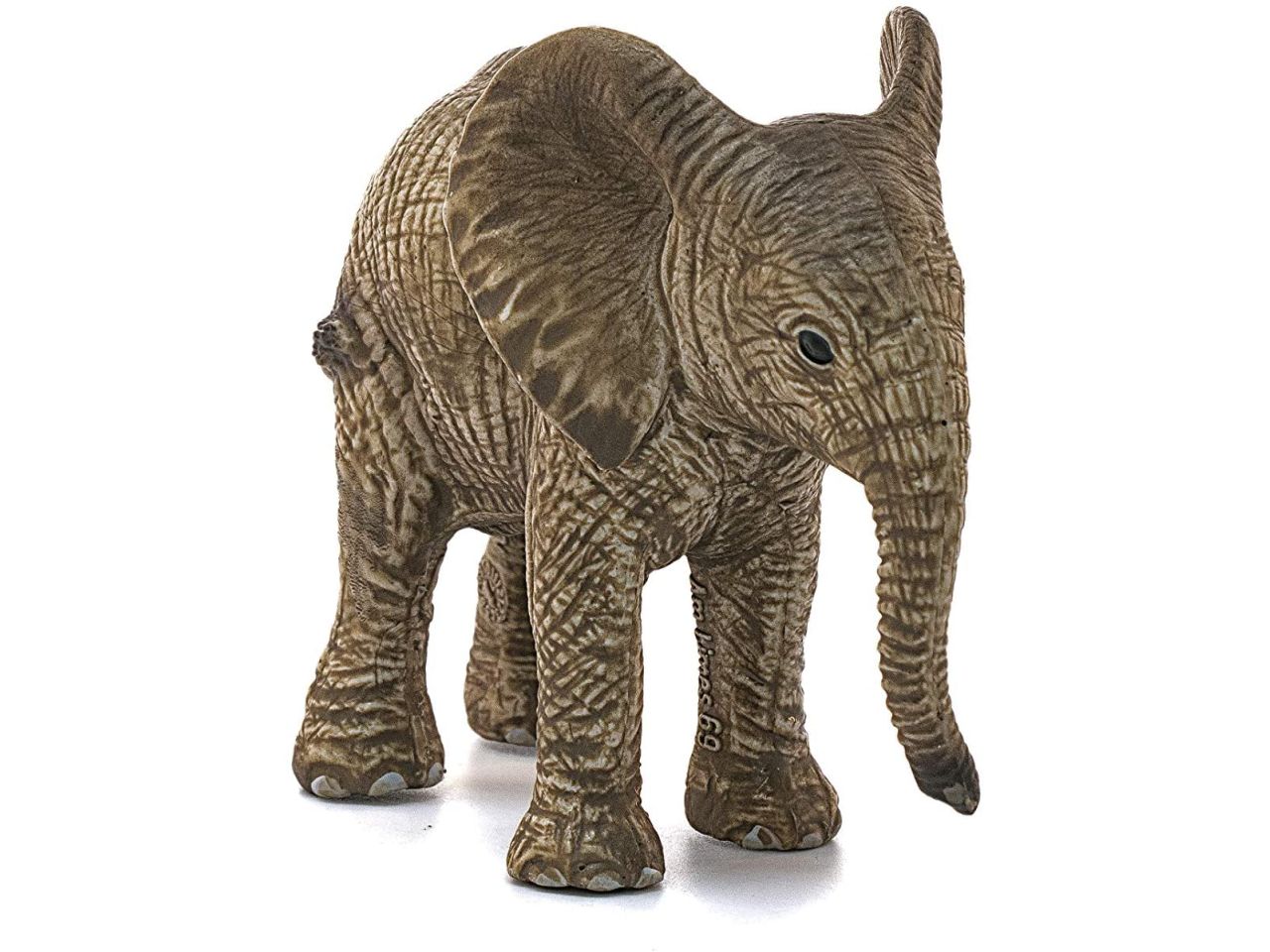 Cucciolo di elefante africano