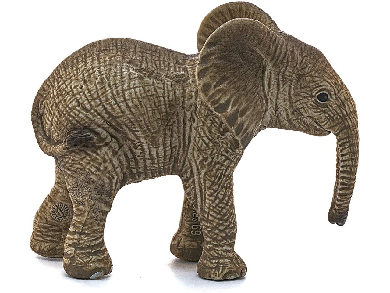 Cucciolo di elefante africano