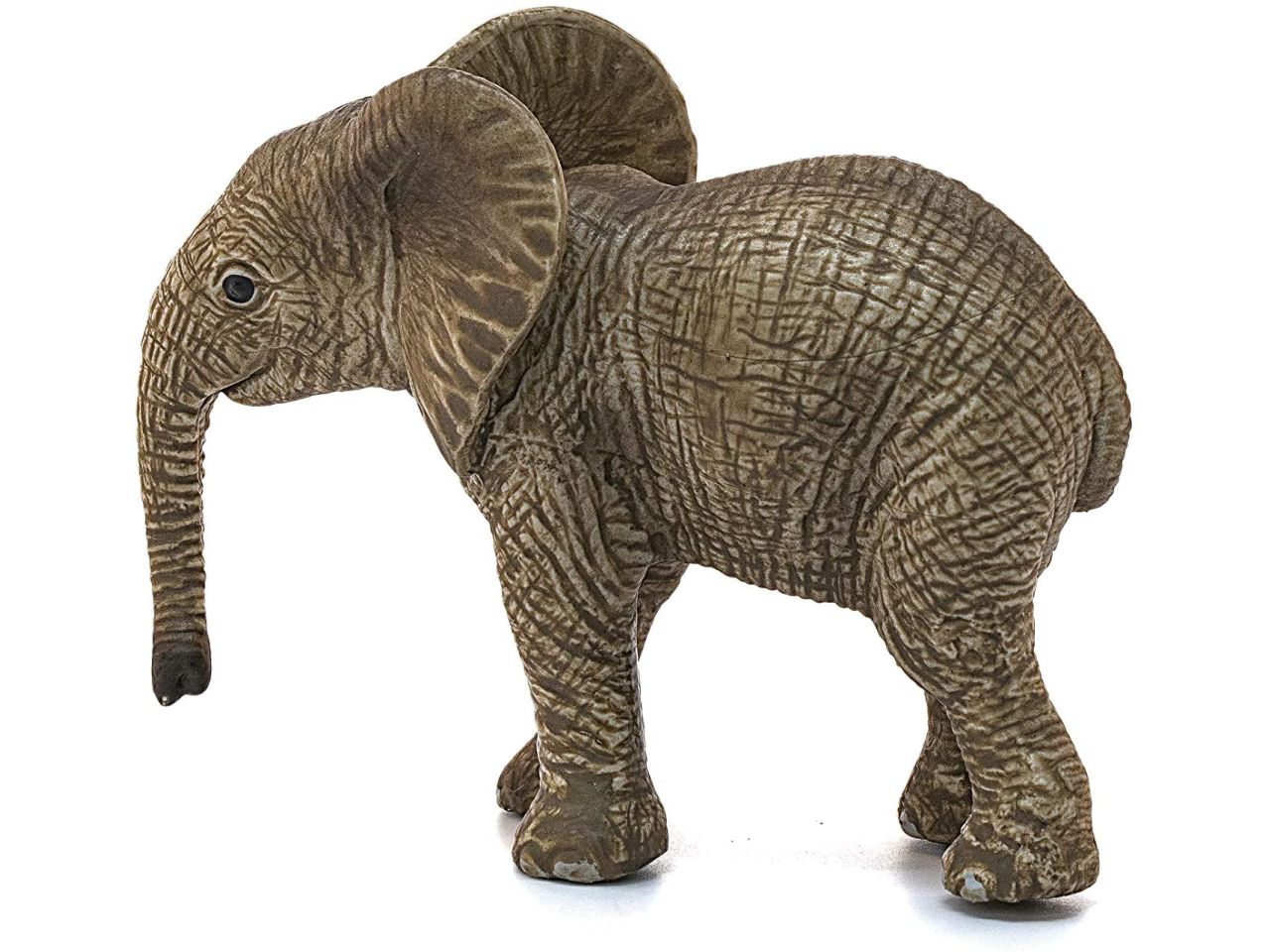 Cucciolo di elefante africano