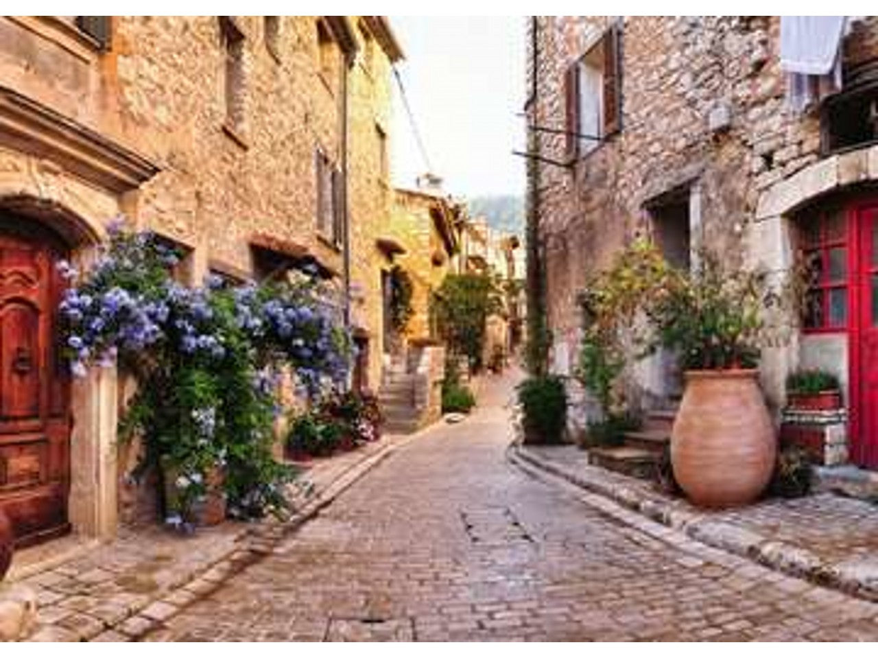 Puzzle 1000 pezzi france 14975