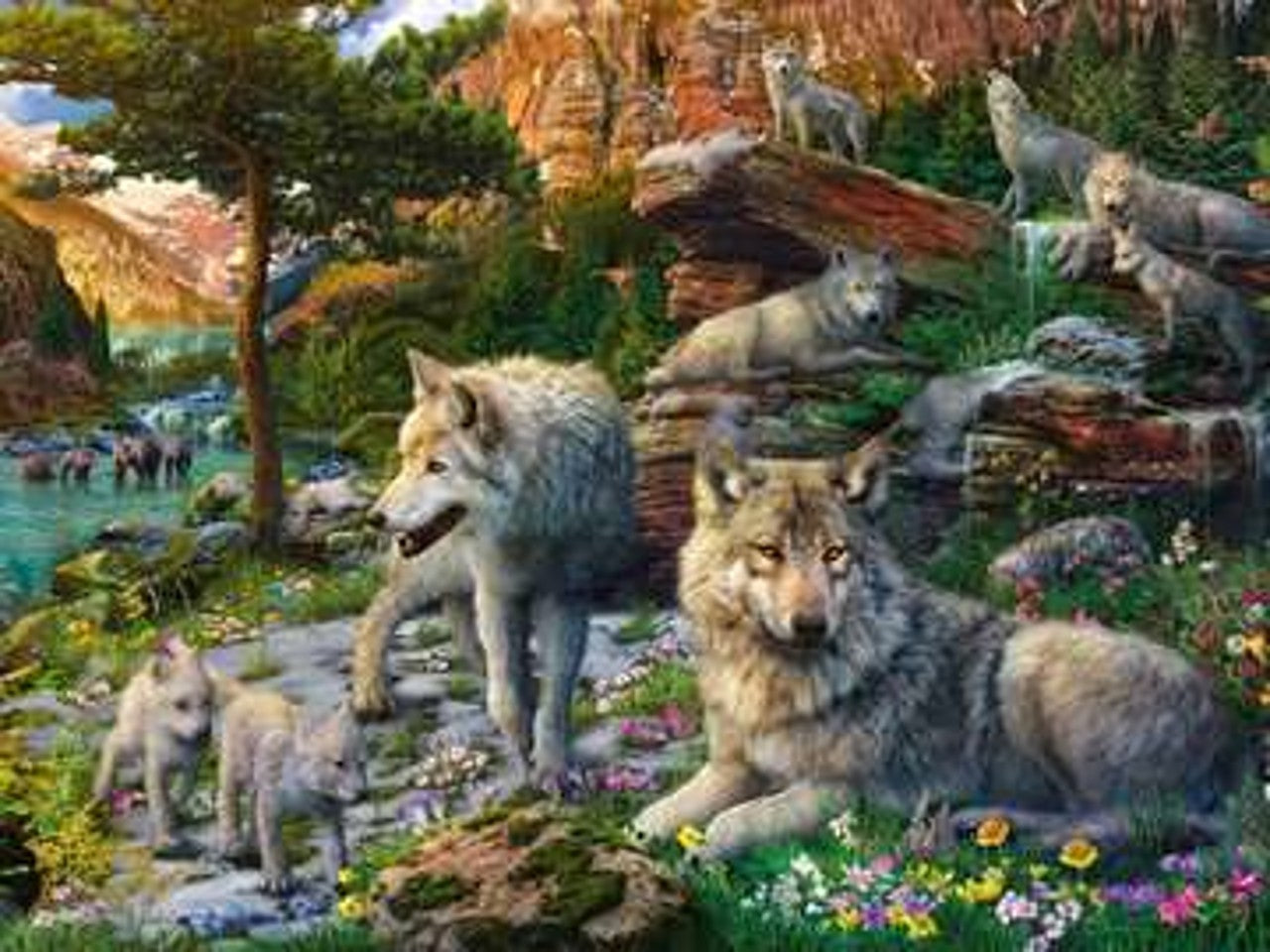 Puzzle 1500 pezzi lupi in primavera 16598