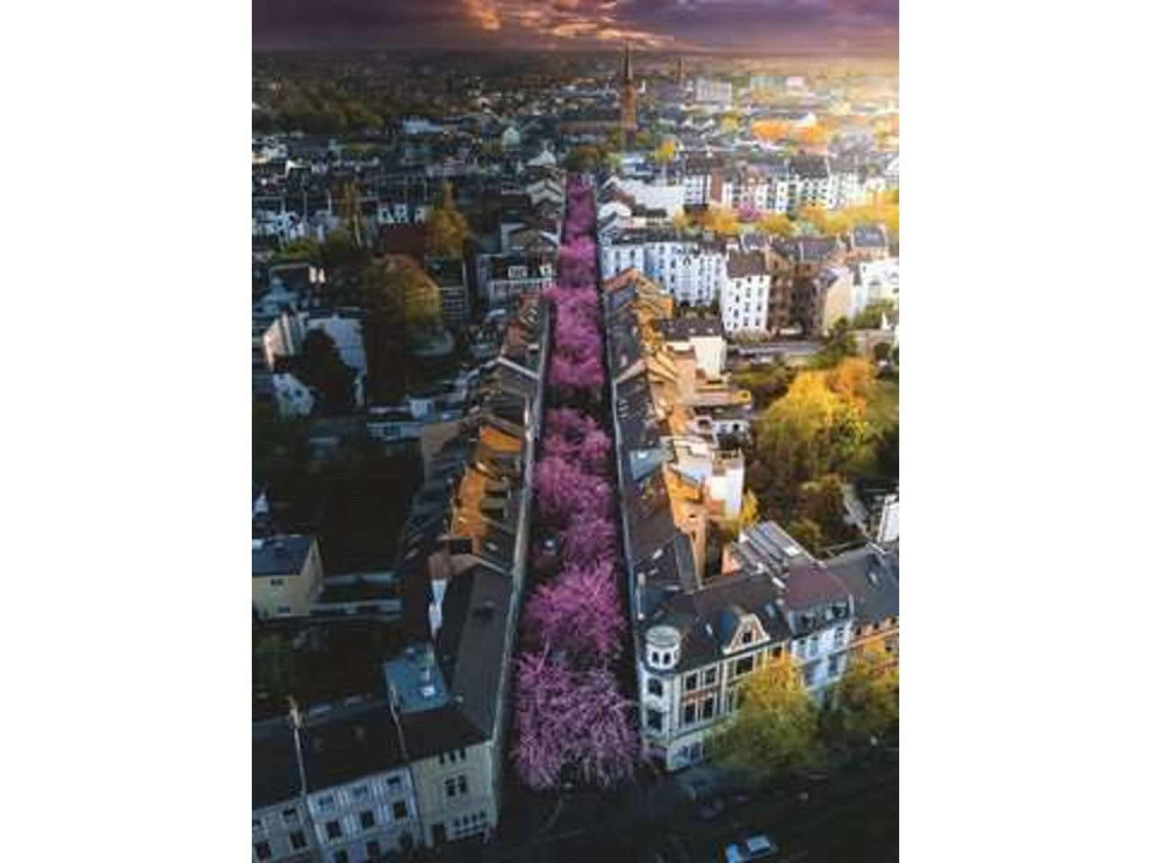 Puzzle 1500 pezzibonn in fiore 17104