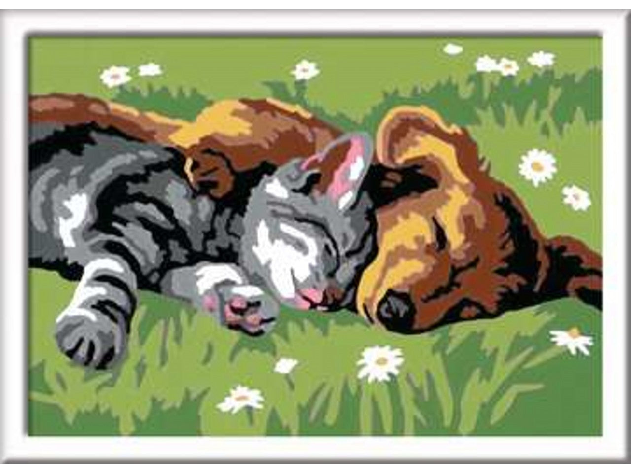 Creart cane e gatto 28930 1