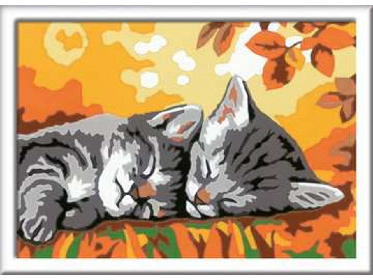 Creart gattini in autunno 28932 5