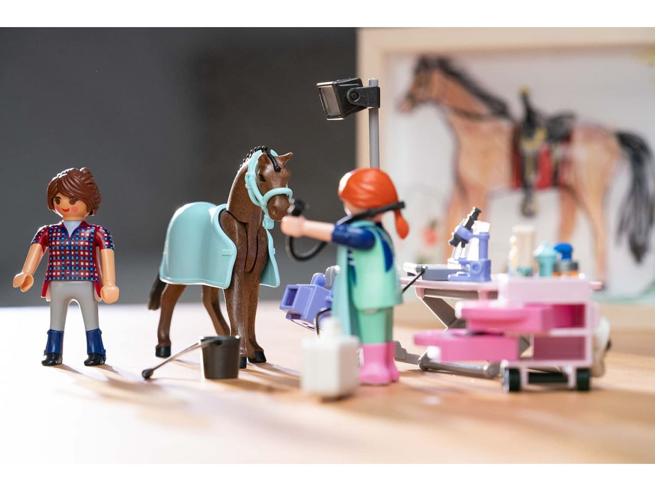 Playmobil veterinaria del maneggio