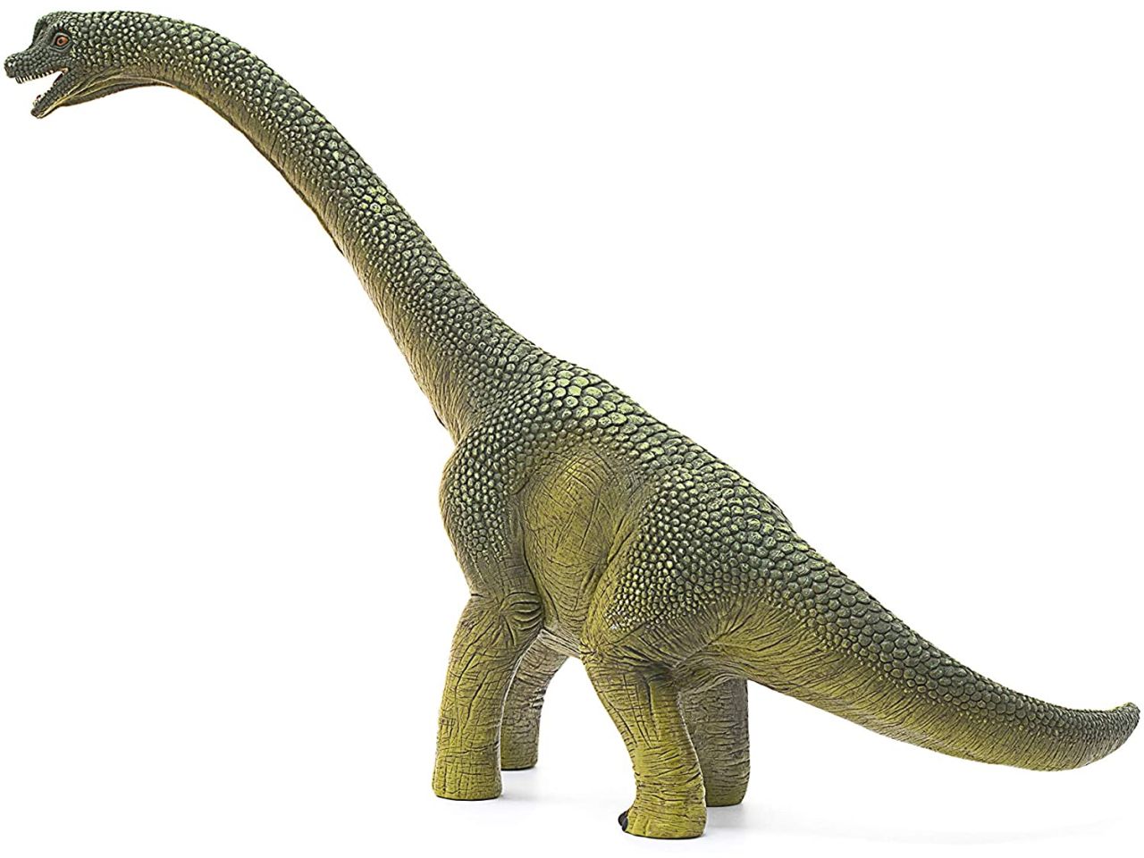 Brachiosauro