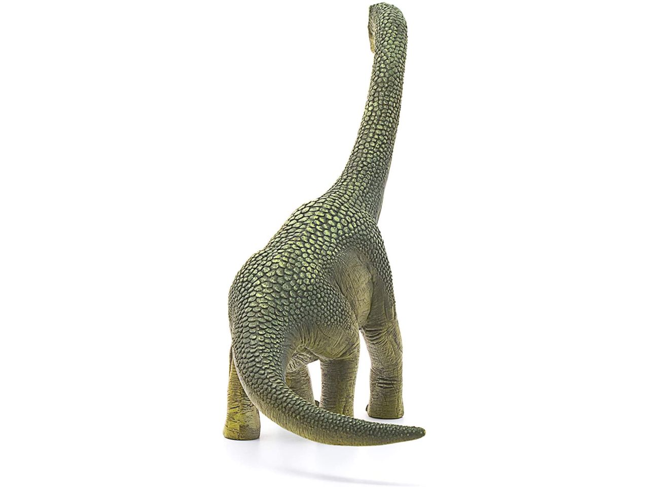 Brachiosauro