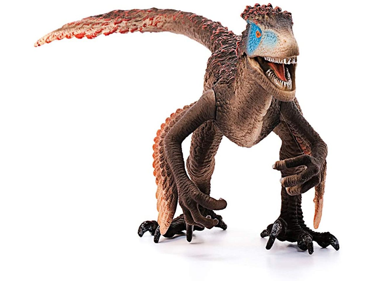 Utahraptor