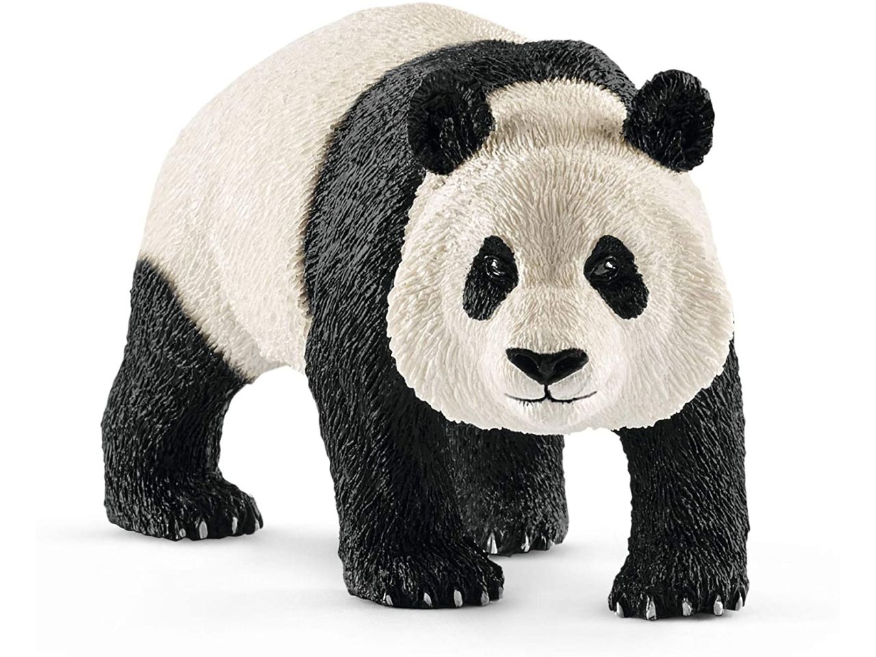 Panda gigante
