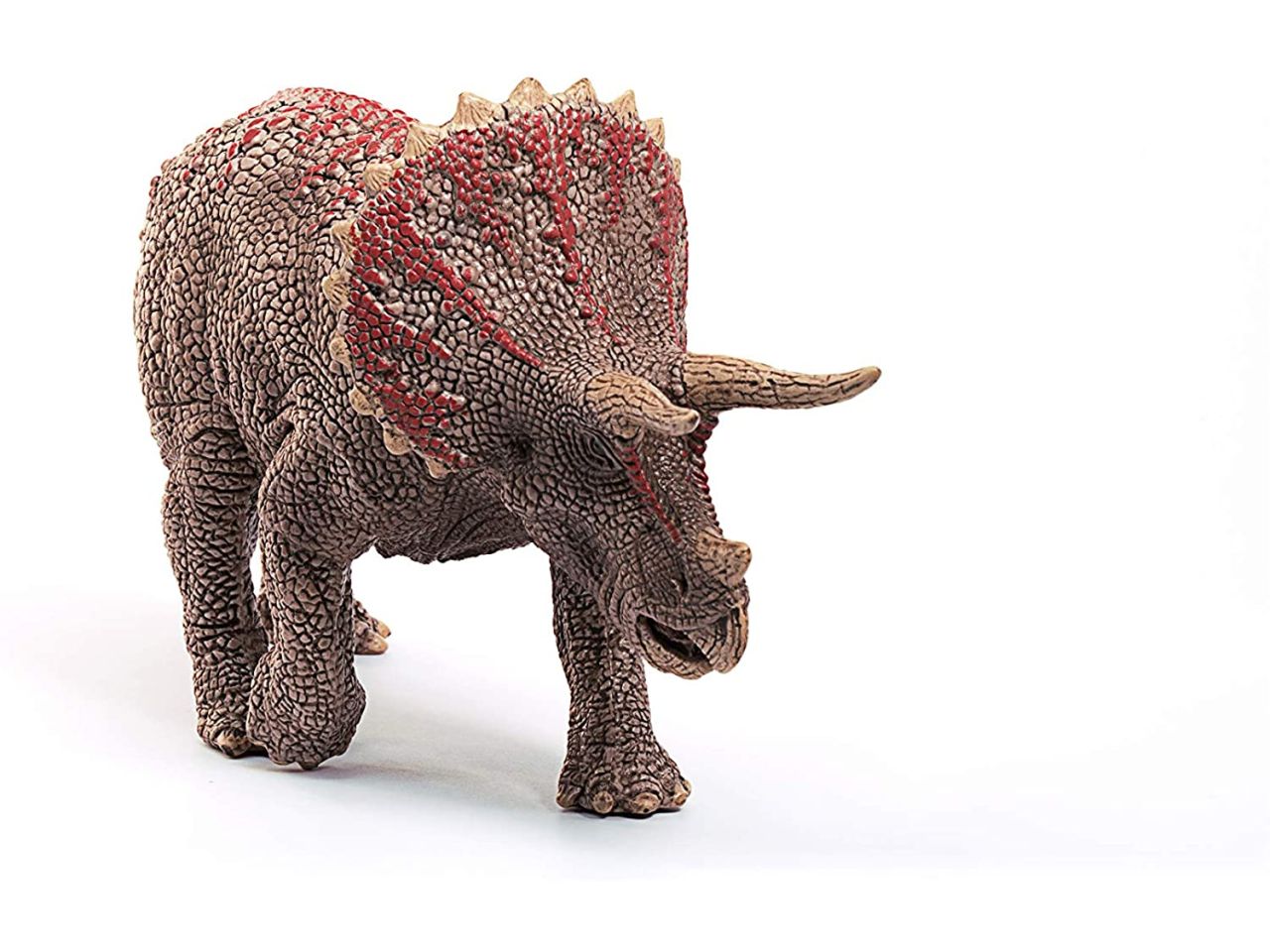 Triceratopo