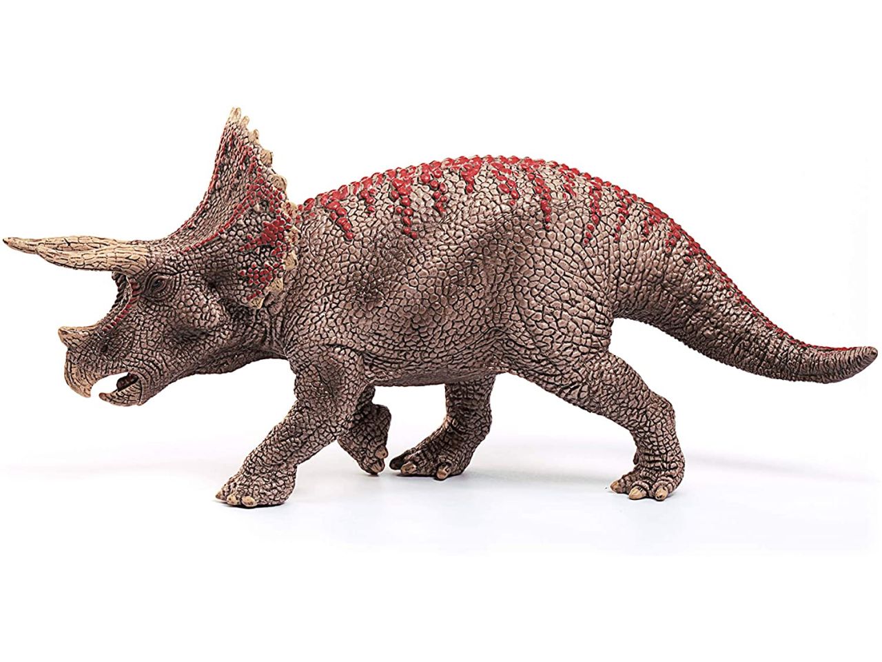 Triceratopo