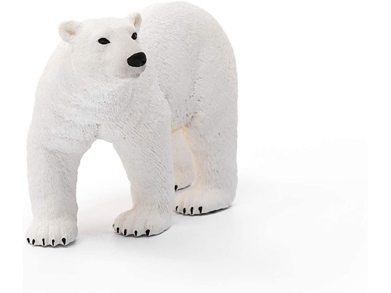 Orso polare
