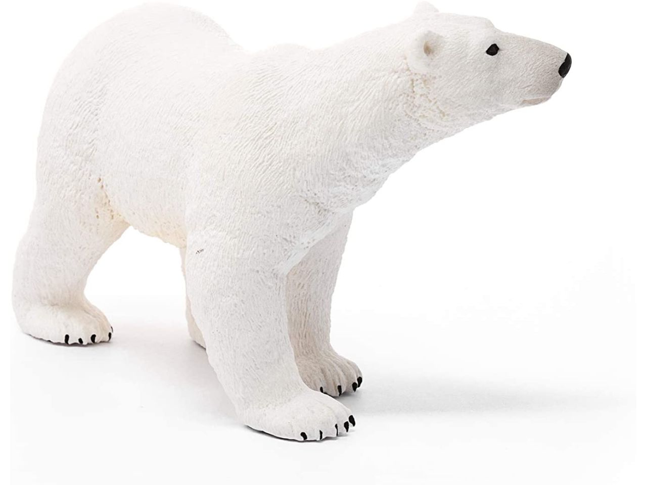 Orso polare