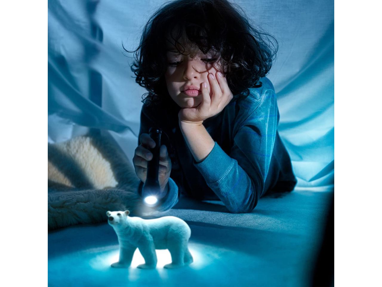 Orso polare