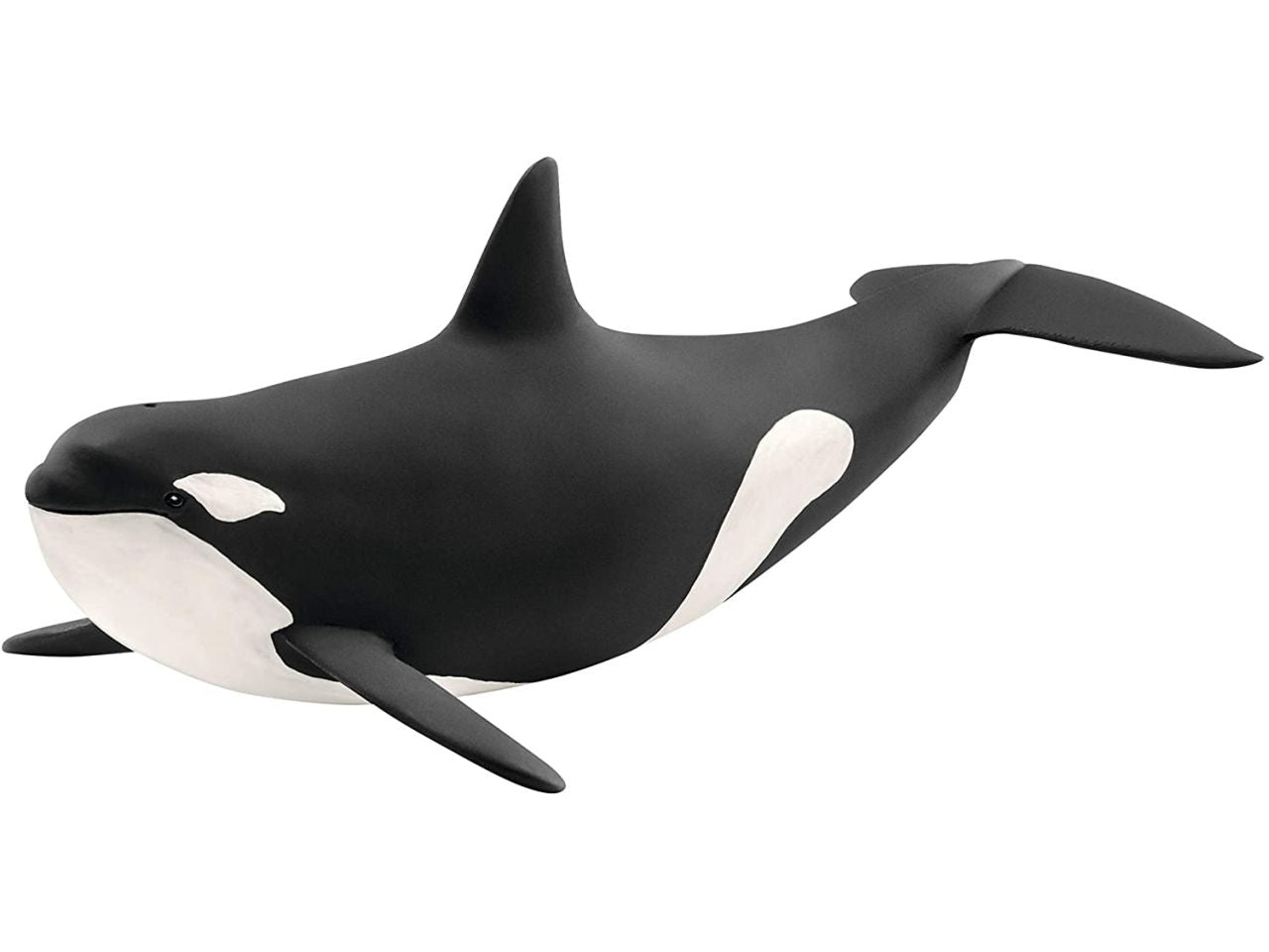 Orca