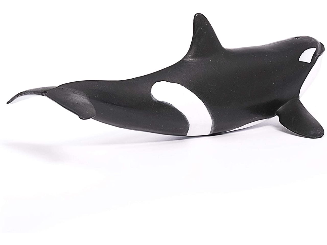 Orca