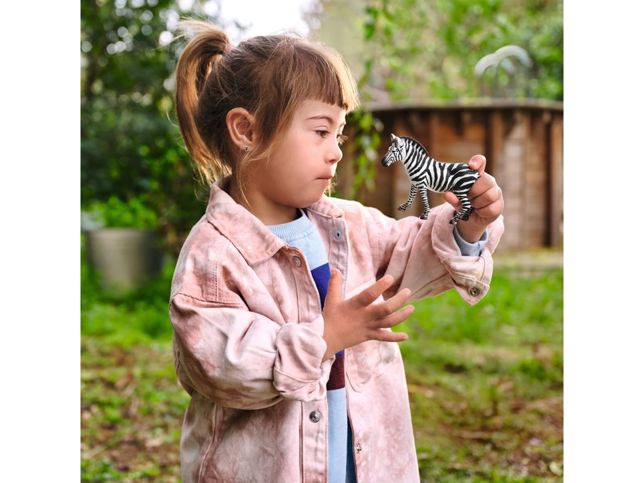 Femmina di zebra