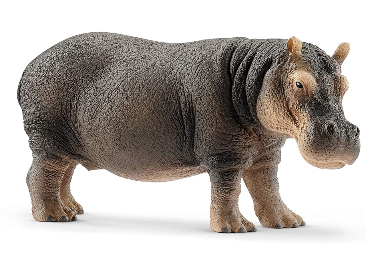 Ippopotamo