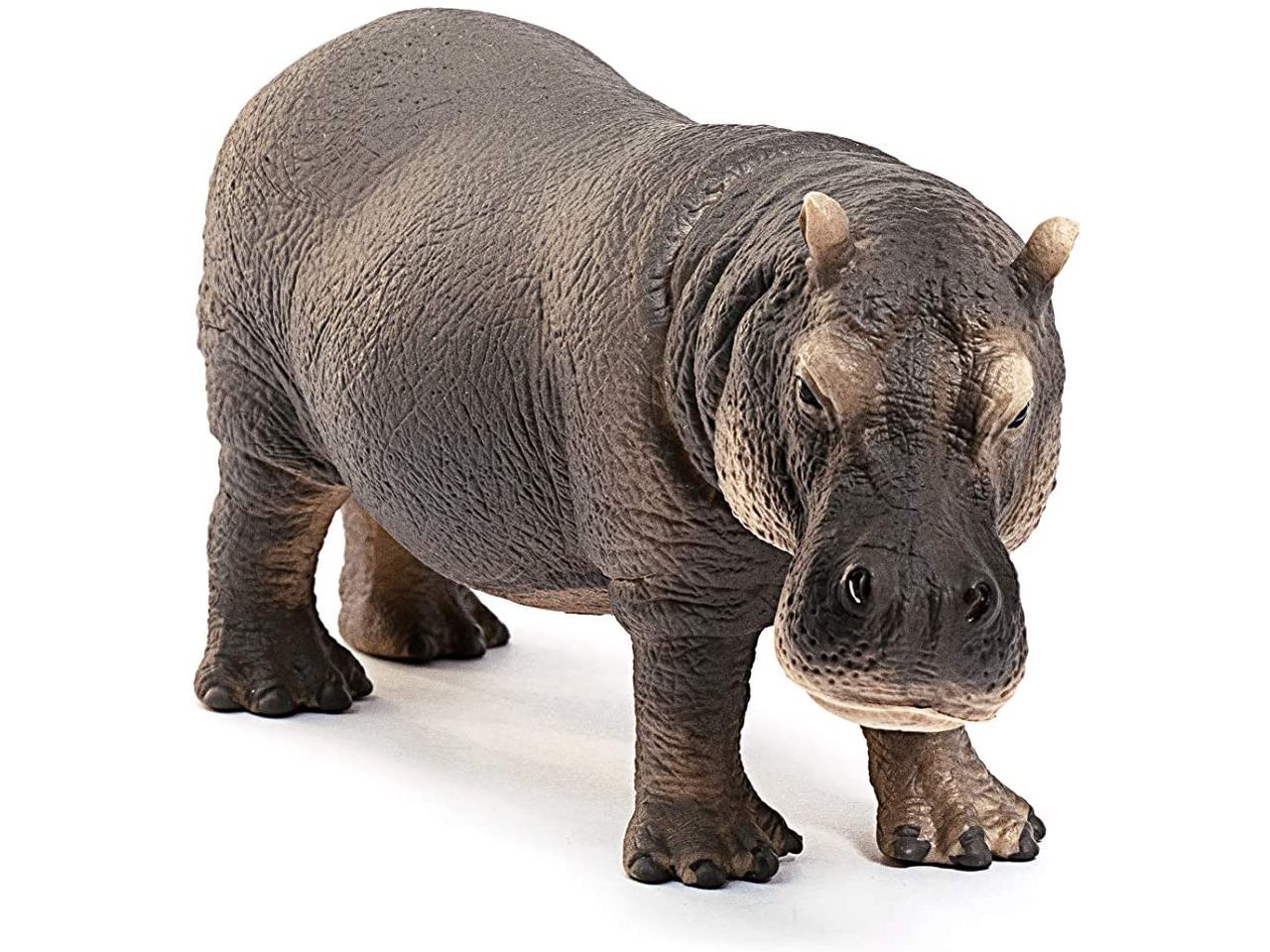 Ippopotamo
