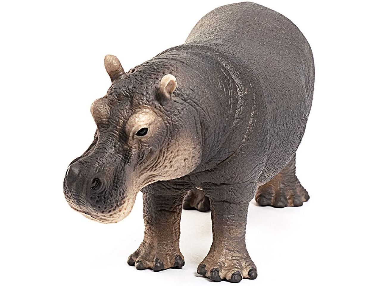 Ippopotamo