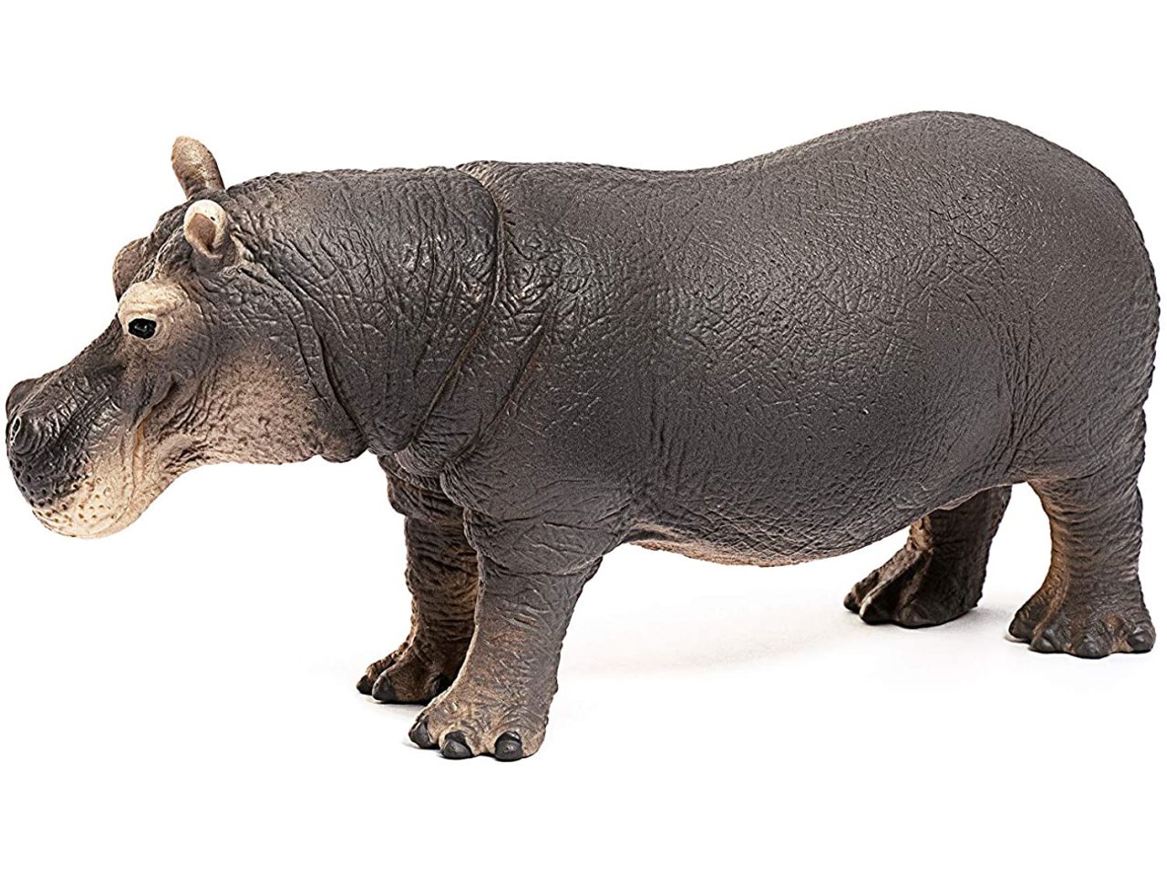 Ippopotamo