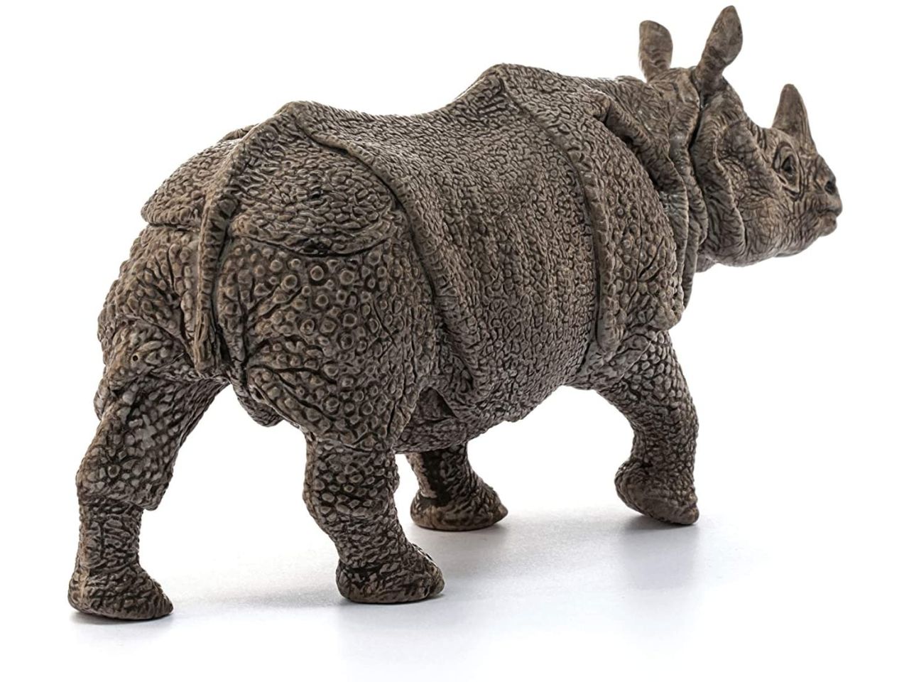 Rinoceronte indiano
