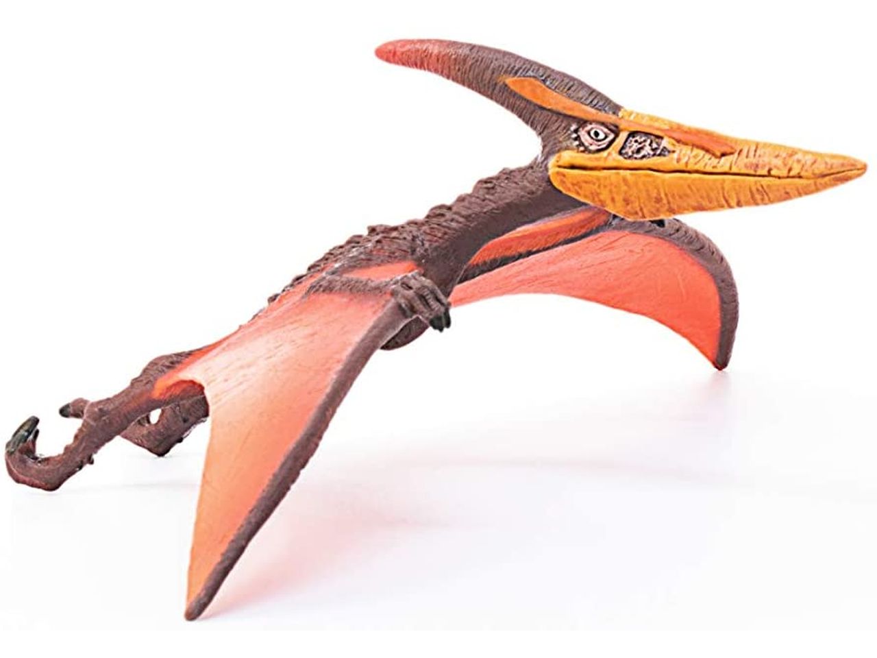 Pteranodonte