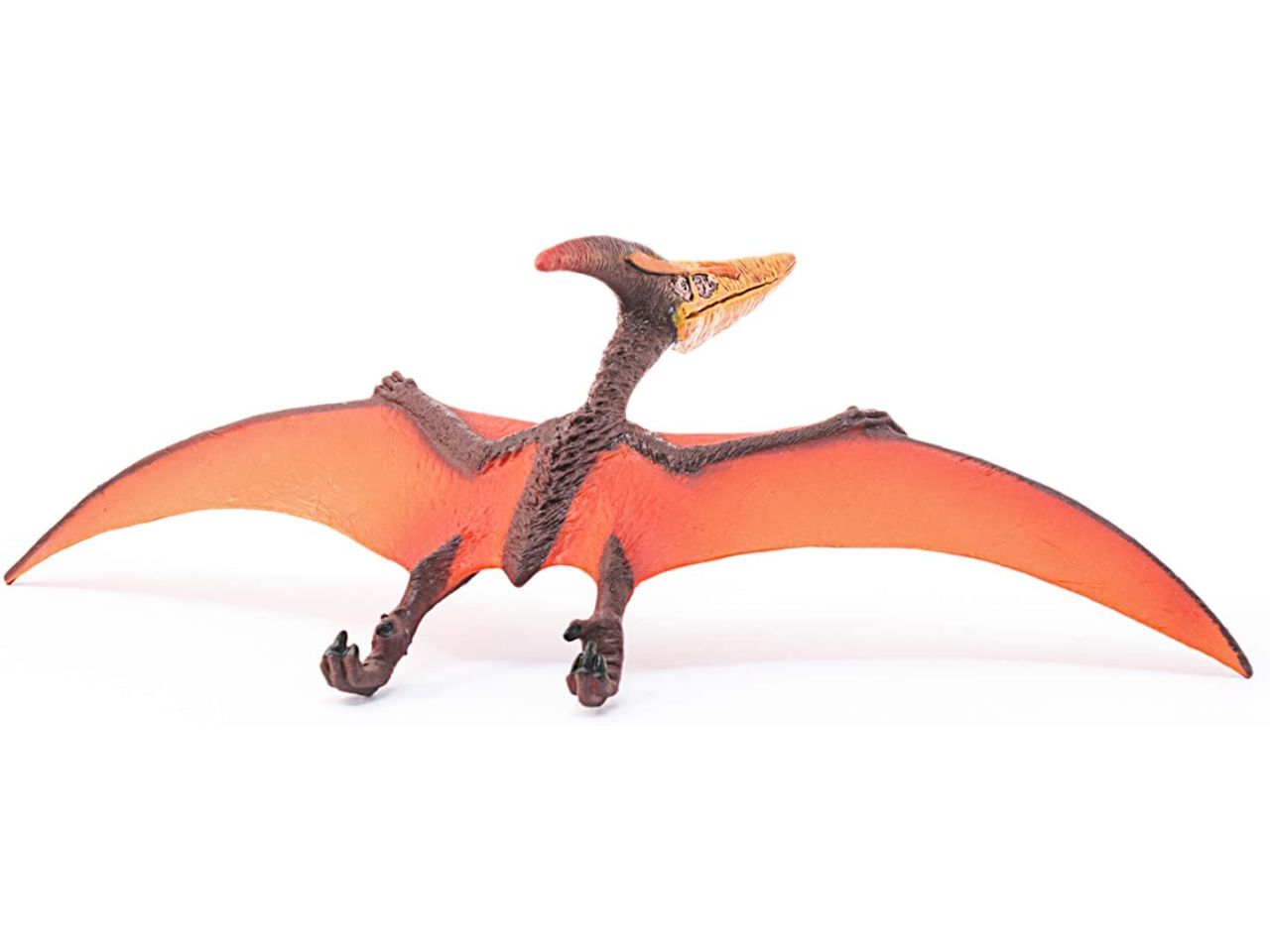 Pteranodonte
