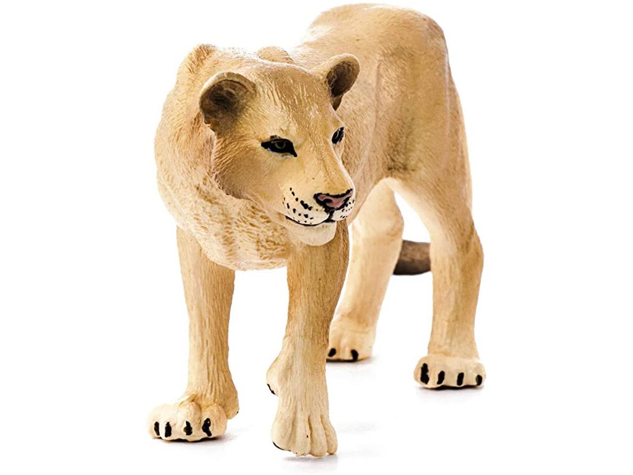 Leonessa
