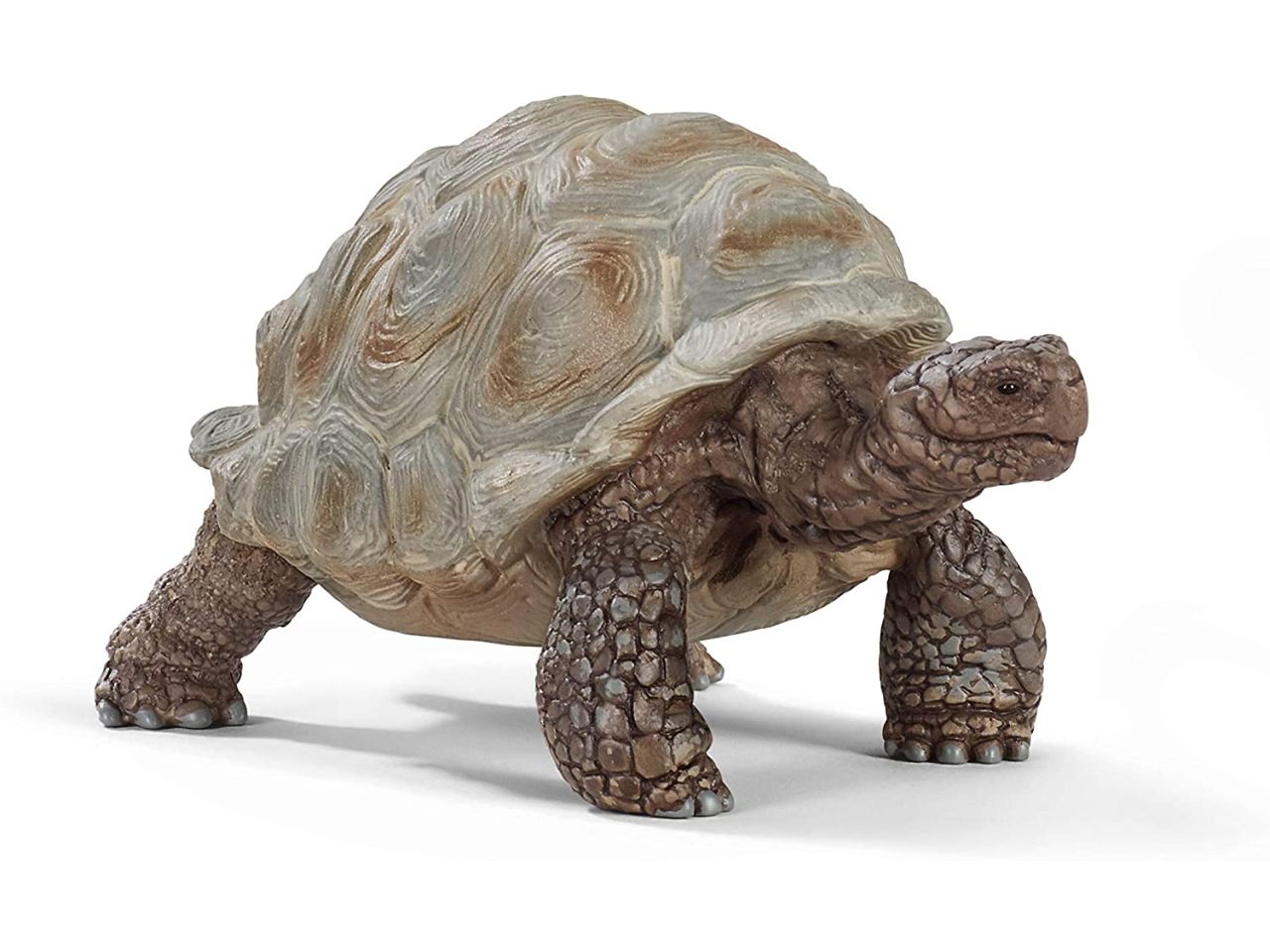 Tartaruga gigante