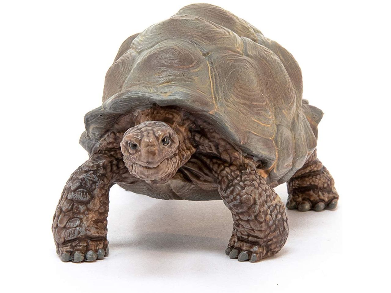 Tartaruga gigante