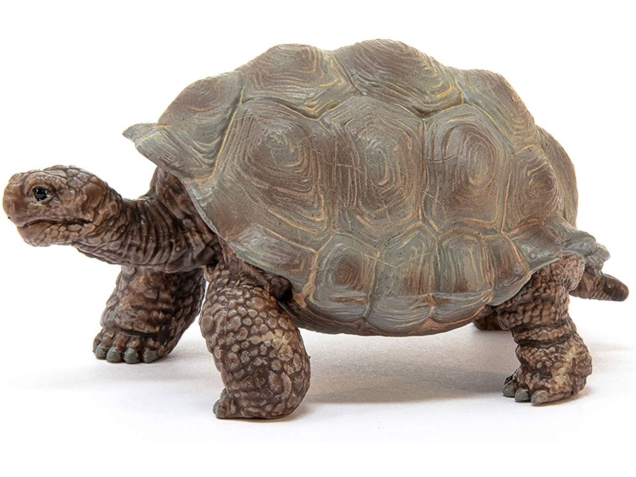 Tartaruga gigante