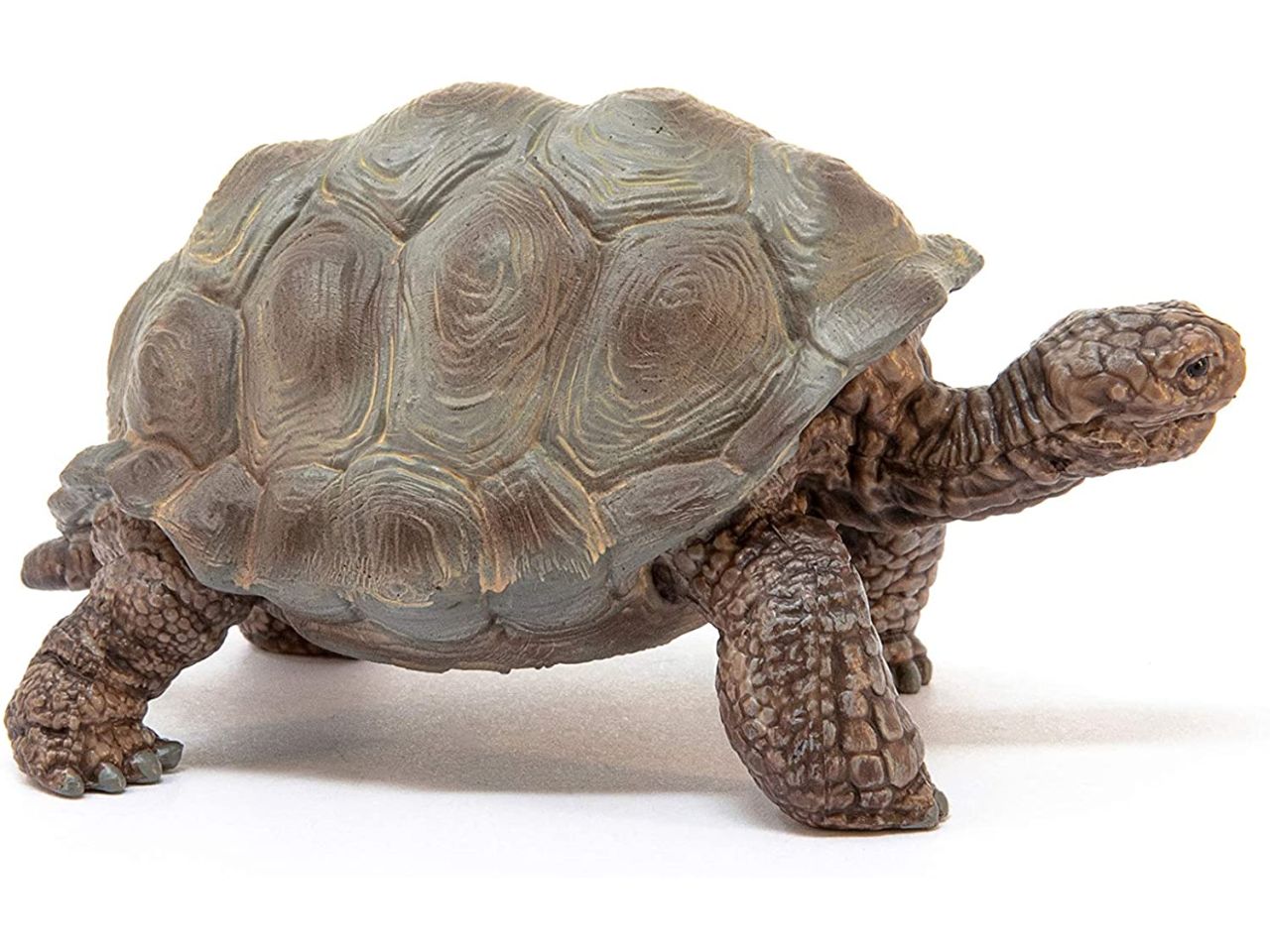 Tartaruga gigante