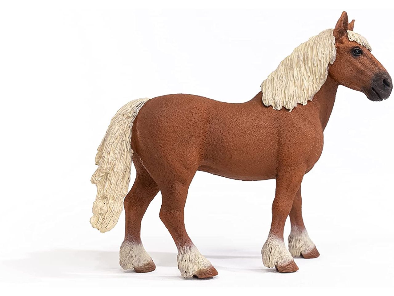 Cavalla belga