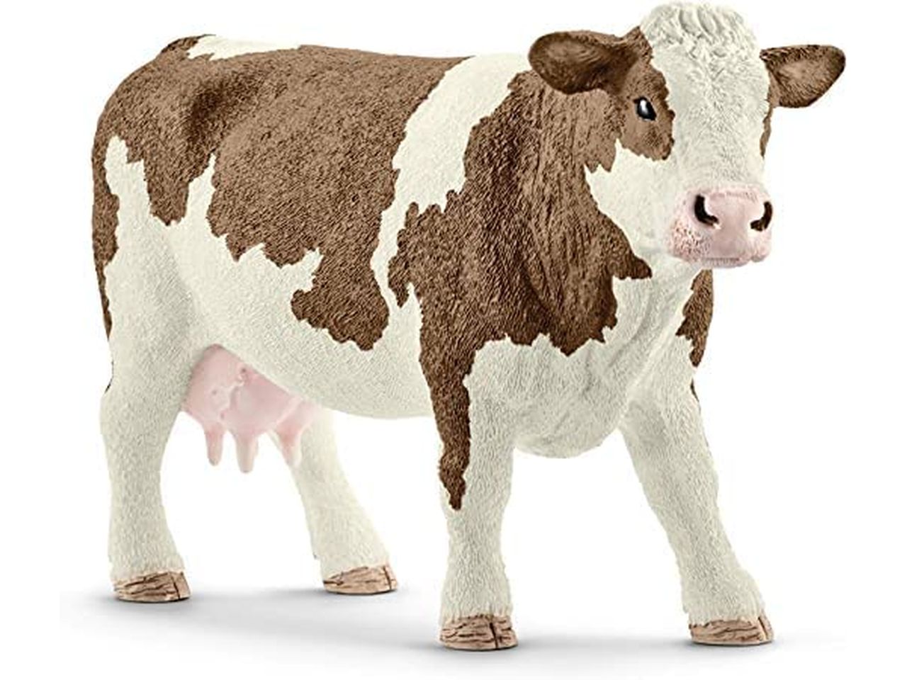 Mucca pezzata