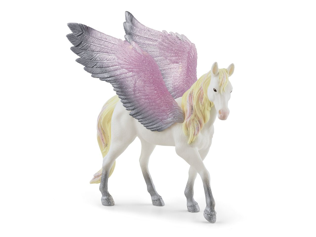Sunrise pegasus