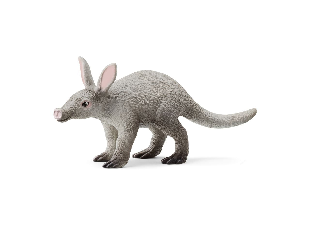 Oritteropo