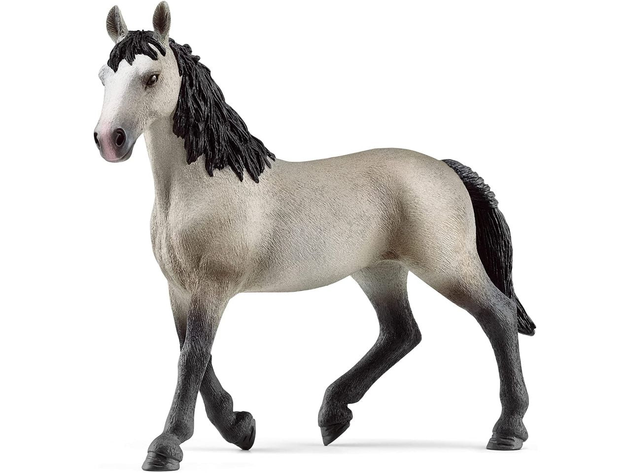 Cavallo da sella francese