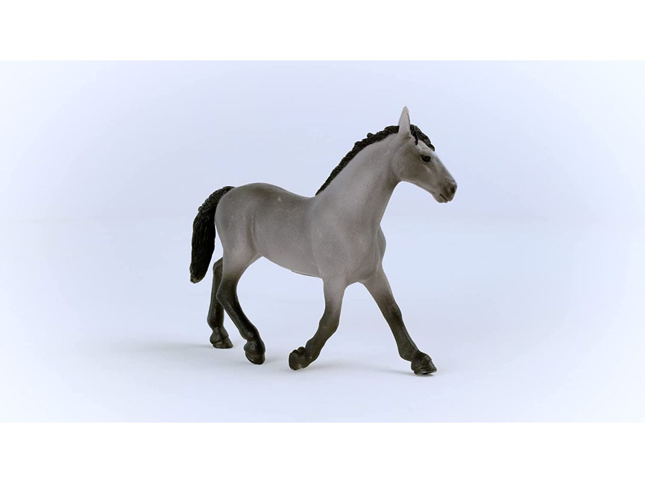 Cavallo da sella francese