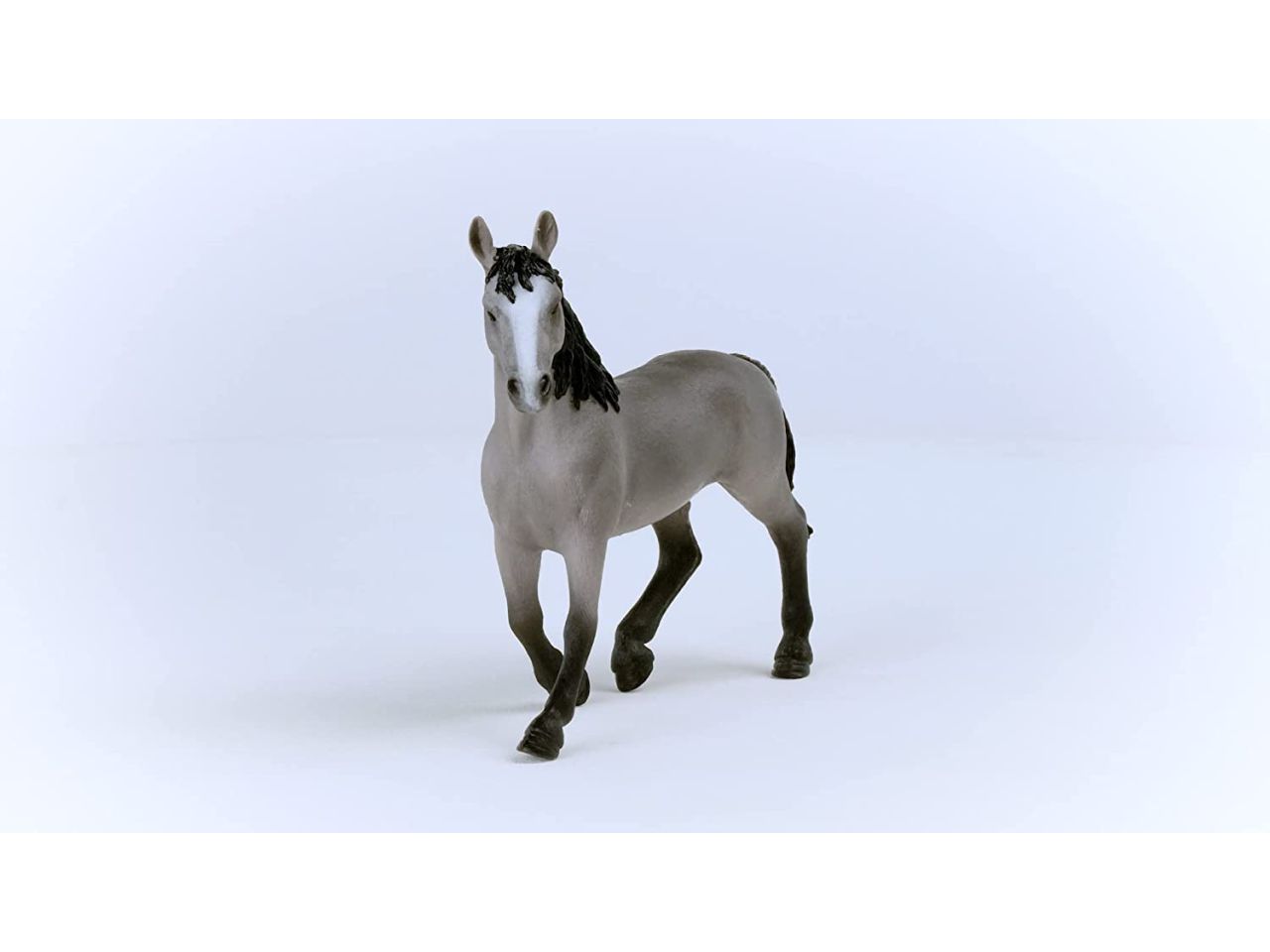 Cavallo da sella francese